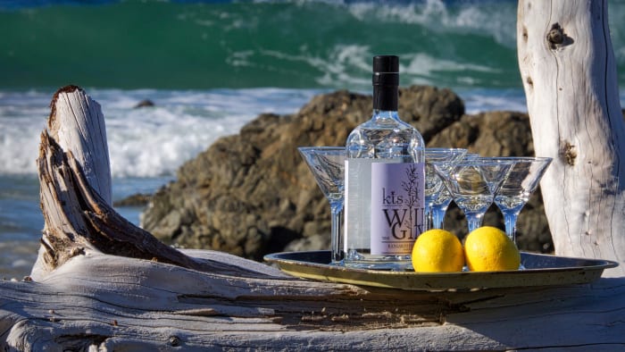The Gin on Driftwood2 - ARTICLE - CREDIT IS FOR SOUTH AUSTRALIA TOURISM COMMISSION.jpg